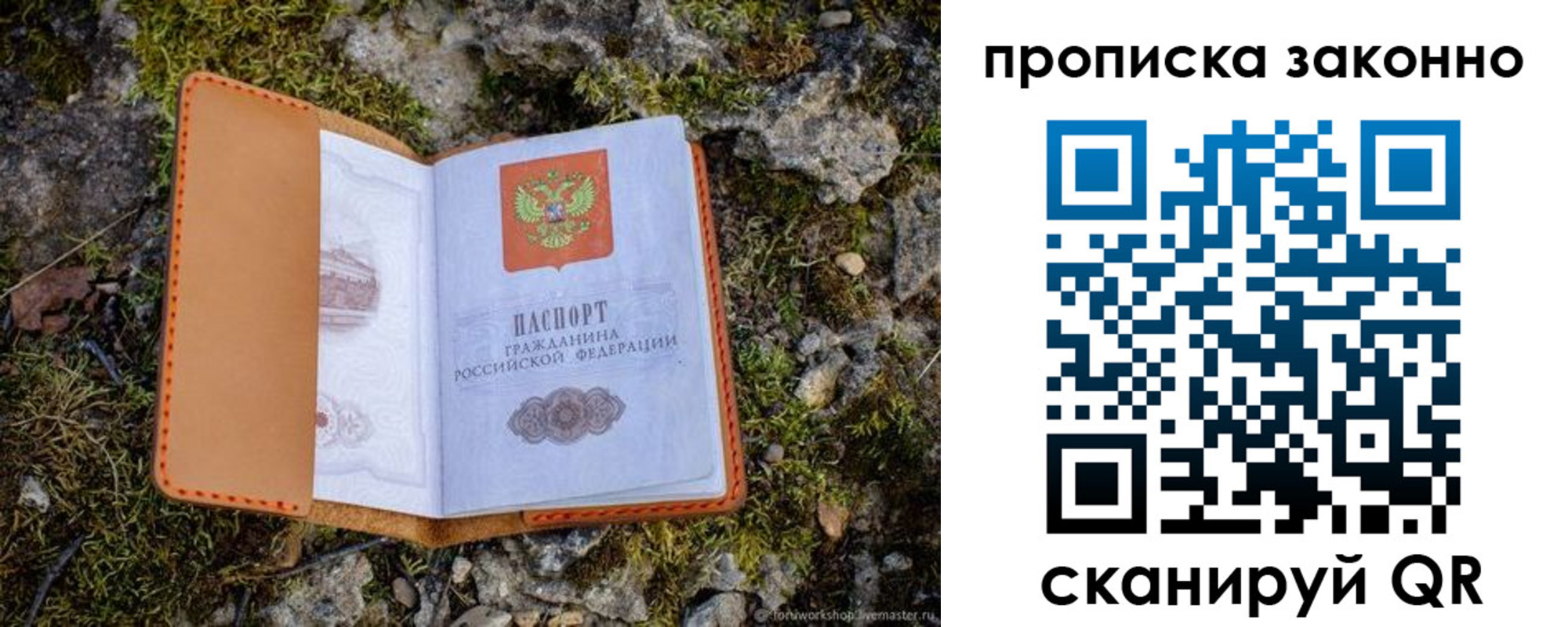 временная регистрация для всех в Лосино-Петровском