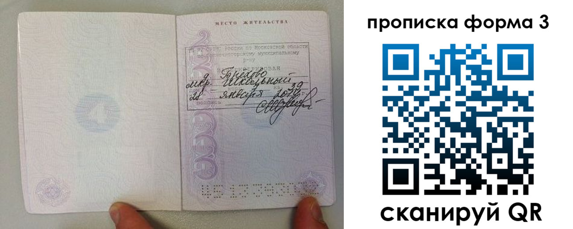 прописка гарантия в Лосино-Петровском